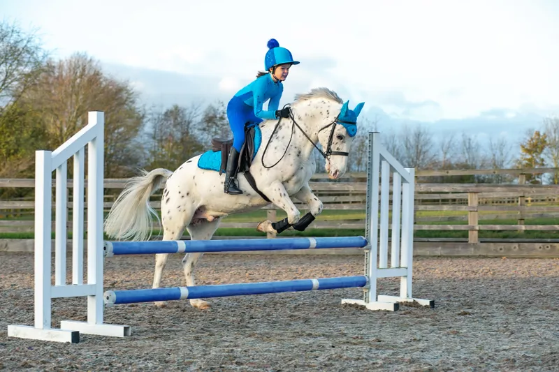 Hy Equestrian DynaMizs Ecliptic Riding Tights - Cobalt/Ocean-2